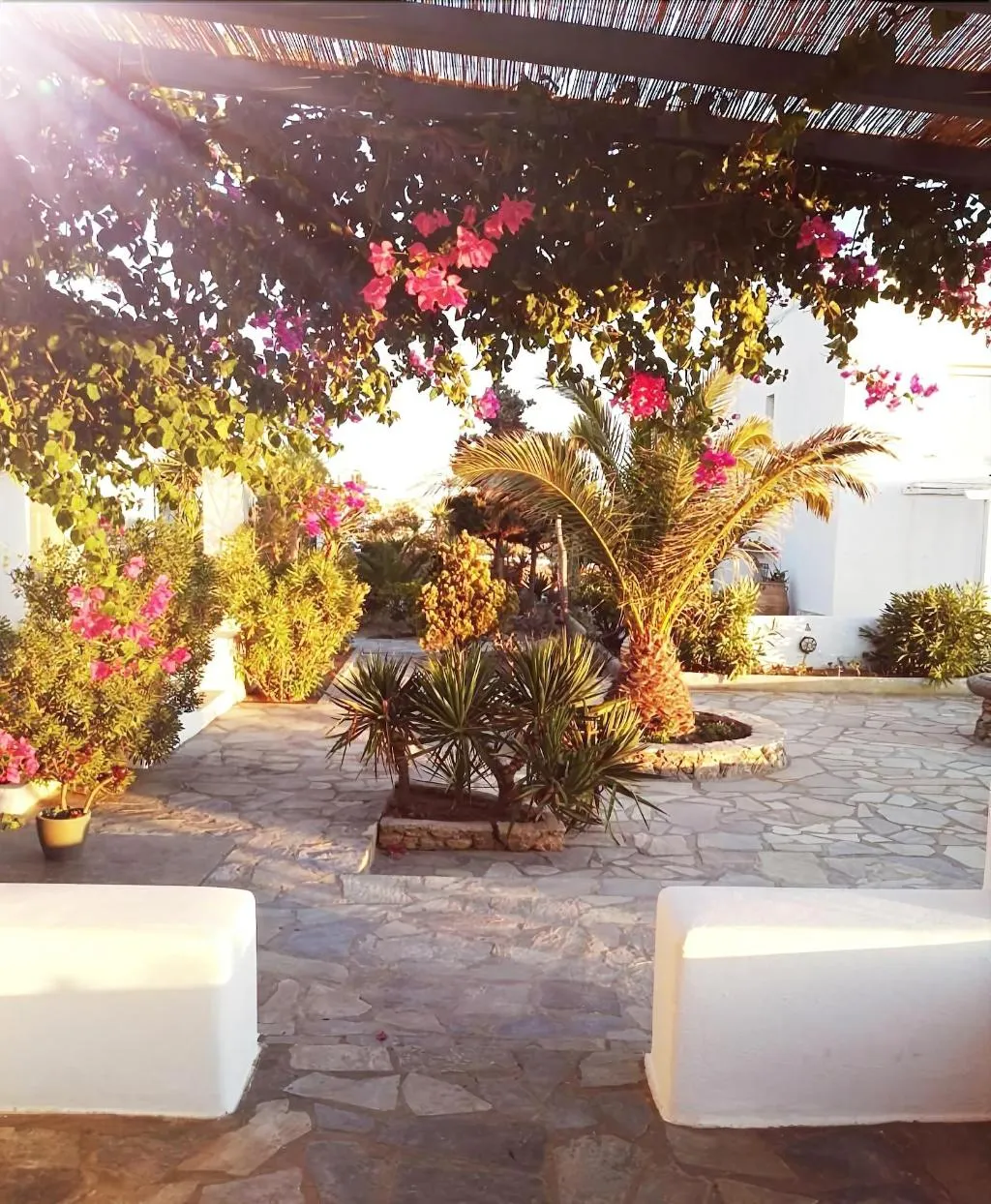 Room, Bellou Suites, Mykonos