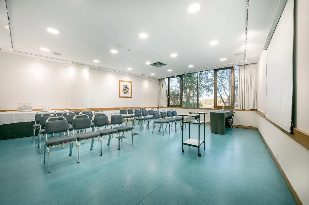 Conferences, Holiday Inn Lisbon Continental, Lisbon