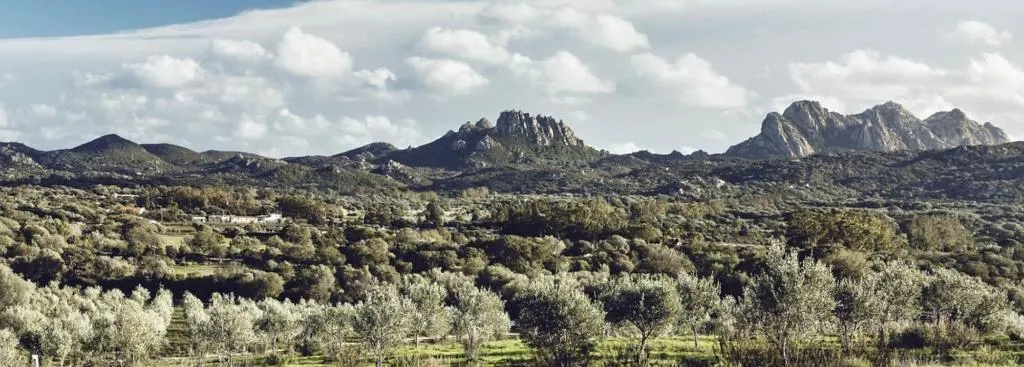 Sports and Entertainment, Cascioni Eco Retreat, Olbia