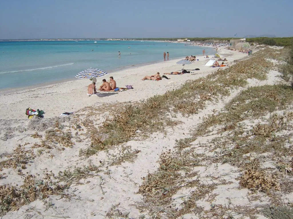 Beach, Aparthotel Isla de Cabrera, Majorca
