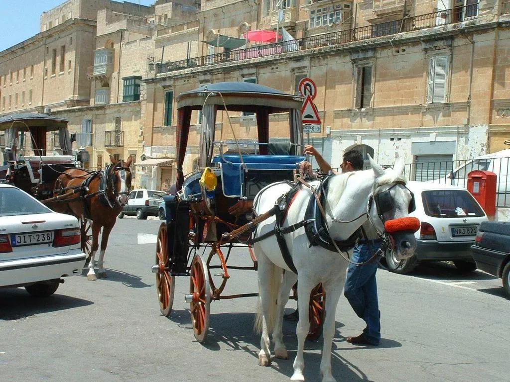 General view, Pawlu Accomodations, Malta