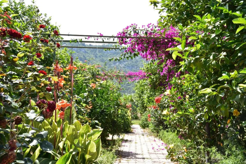 General view, Lemon Garden Lodge, Antalya