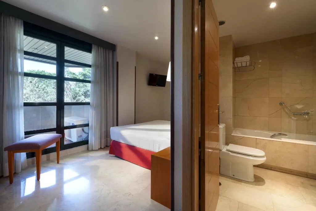 DOUBLE STANDARD Room, Exe Gran Hotel Almenar, Madrid