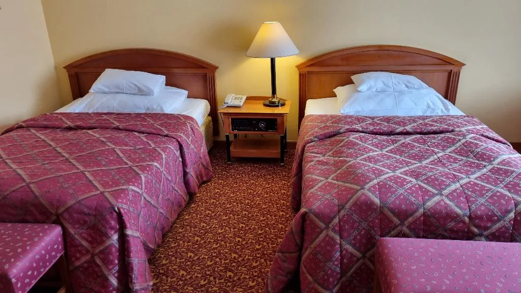 TWIN STANDARD Room, Hotel Savoy Prague, Prague