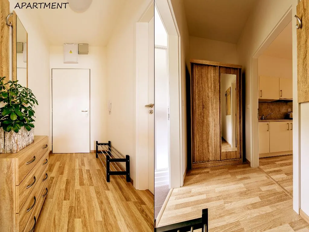 APARTMENT CAPACITY 3 ONE BEDROOM Room, Otakar, Prague