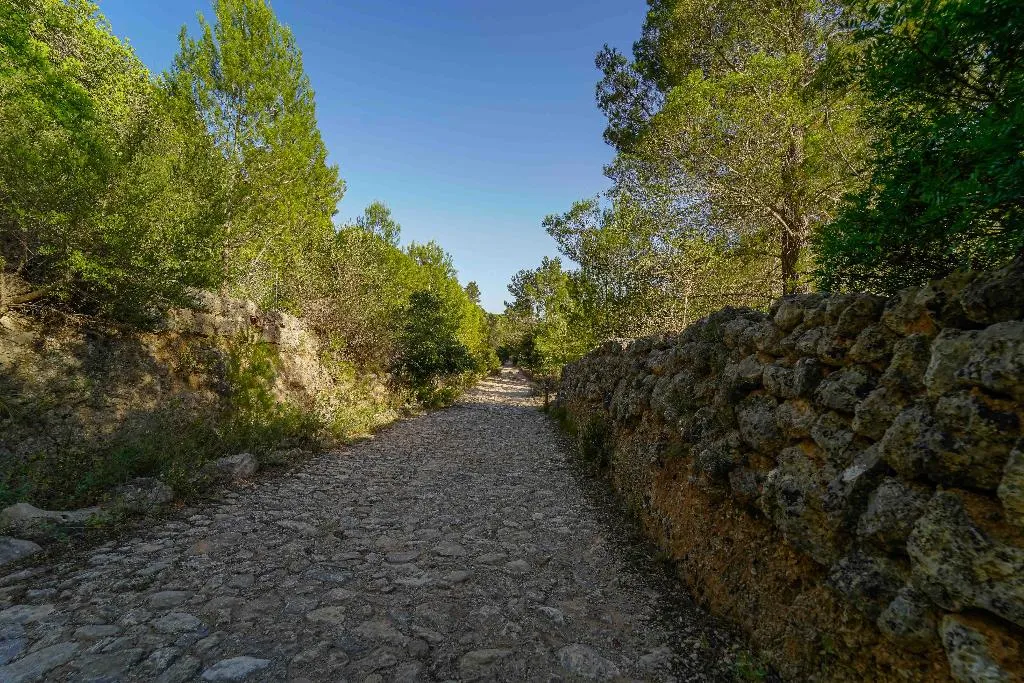 Sports and Entertainment, Hotel Rural S'Olivaret, Majorca