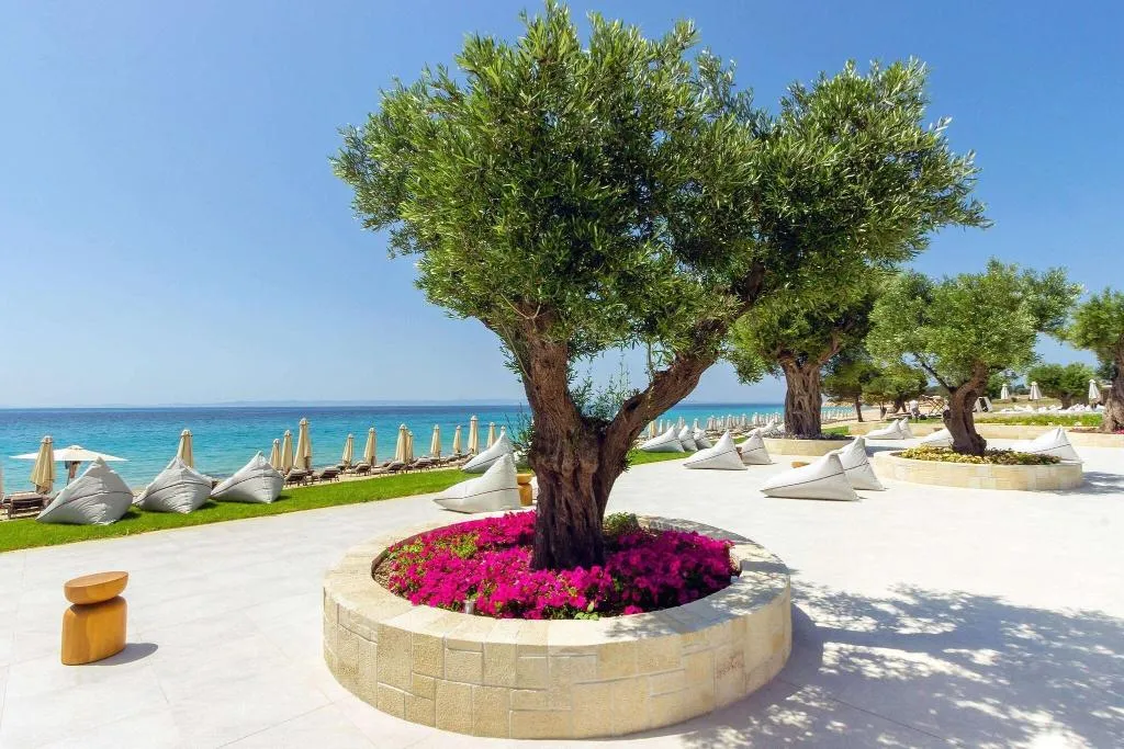 Beach, Ammoa Luxury Hotel & Spa Resort, Halkidiki