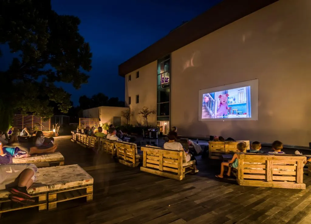 Sports and Entertainment, Cooee Mimosa Sunshine, Varna