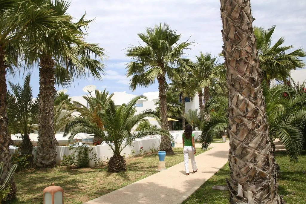 Terrace, Club Marmara Dar Jerba - Narjess, Tunisia