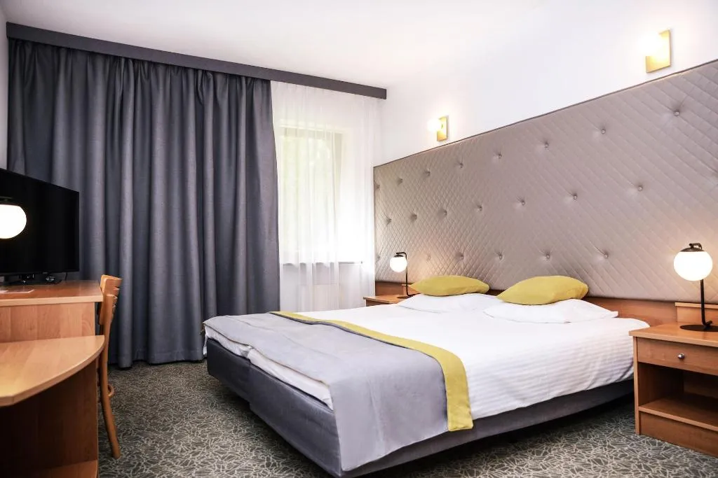Room, Dwor w Tomaszowicach, Krakow
