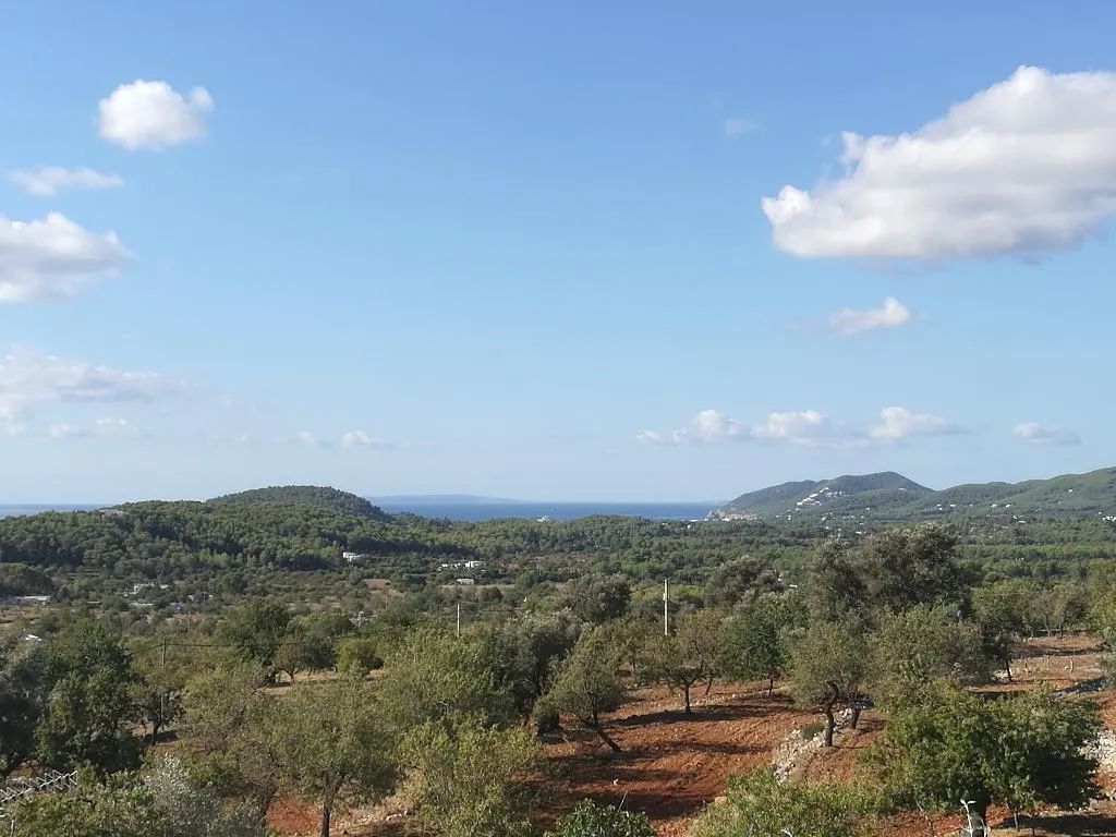 General view, Agroturismo Can Prats, Ibiza