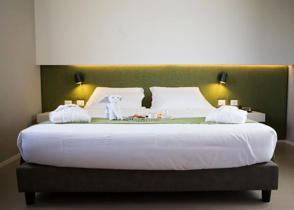 DOUBLE SINGLE USE SUPERIOR Room, Airone City Hotel, Catania