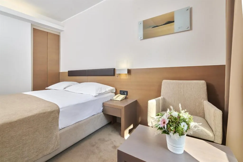 DOUBLE ECONOMY Room, Hotel Molindrio Plava Laguna, Istria