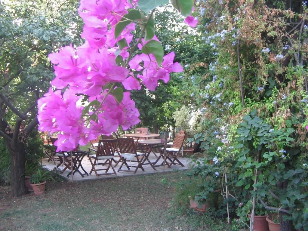 General view, Gulec, Bodrum