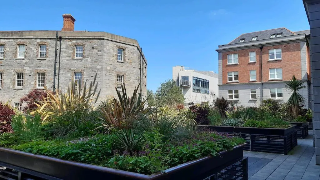 General view, 'Griffith Rooms, Dublin