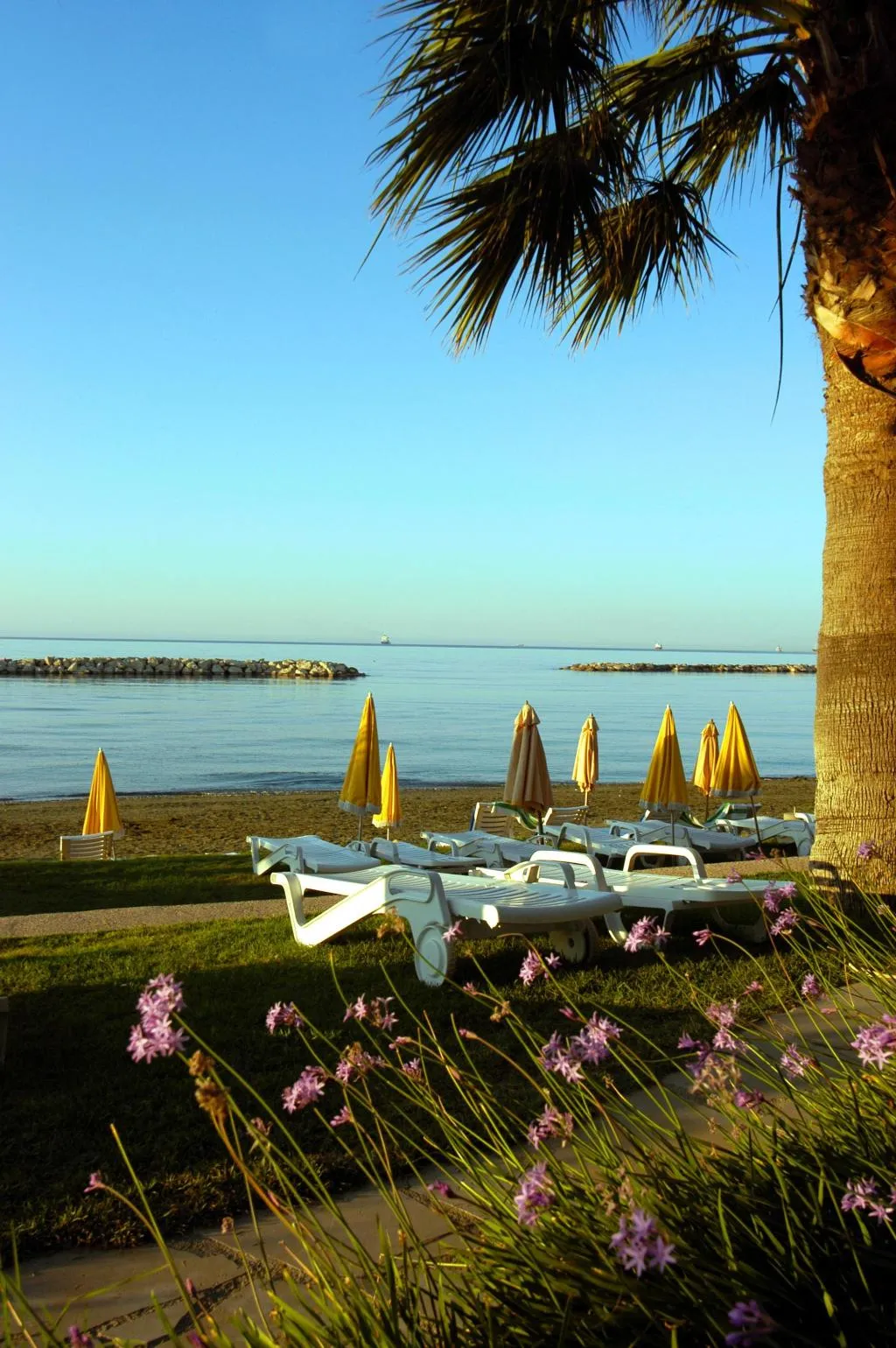 Beach, Palm Beach Hotel & Bungalows, Cyprus