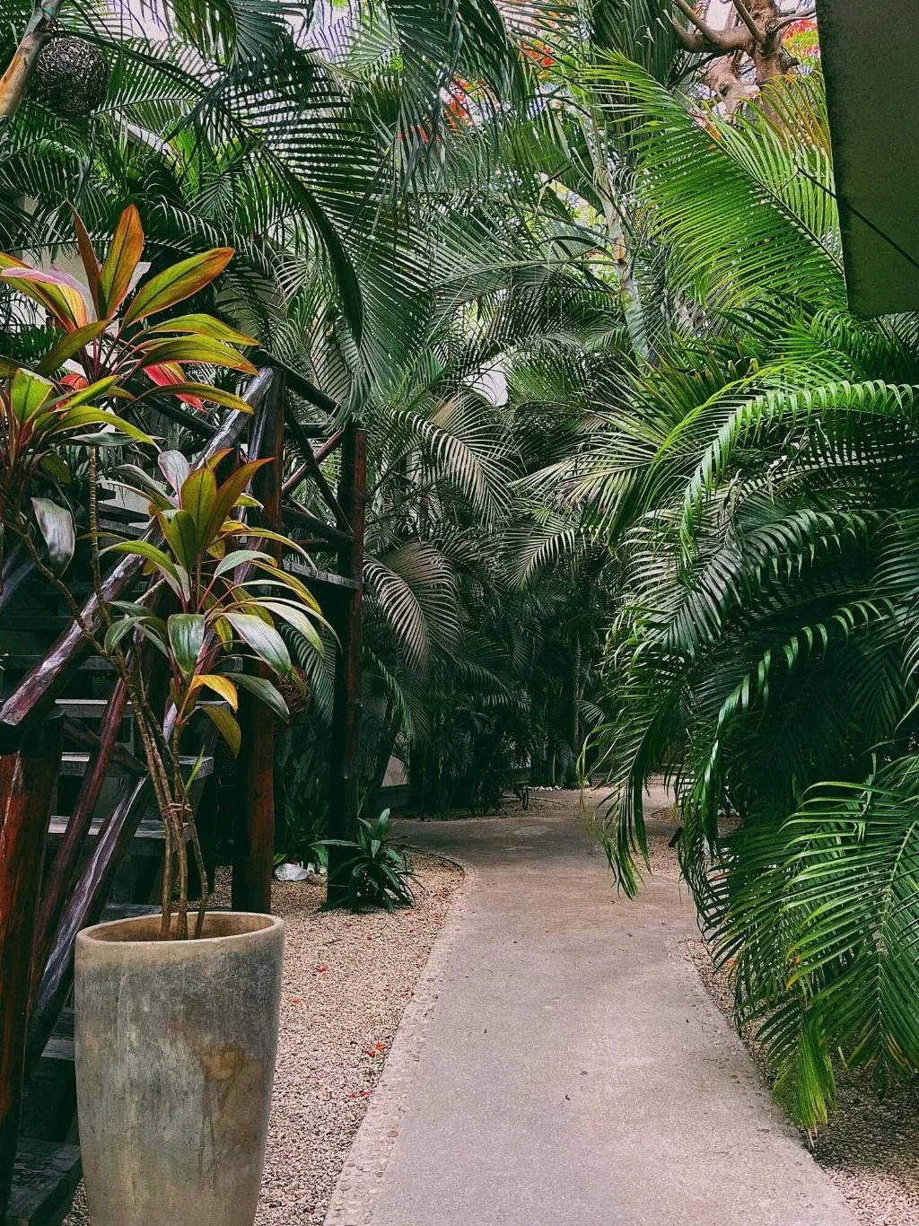 Terrace, Pacha Tulum Boutique Hotel, Cancun Area