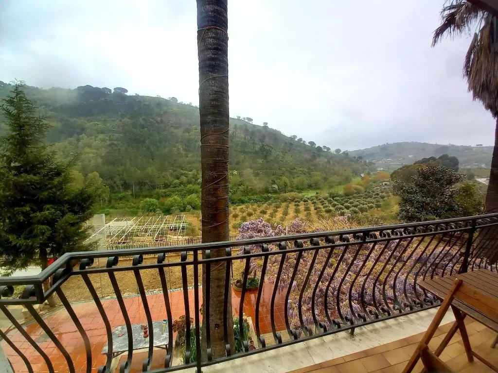 General view, Villa Artemide, Catania