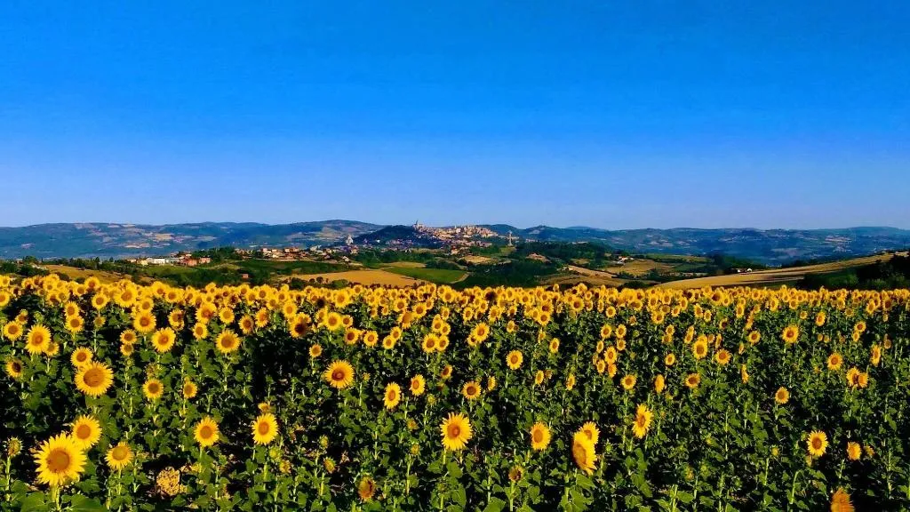 General view, Il Focolare, Perugia
