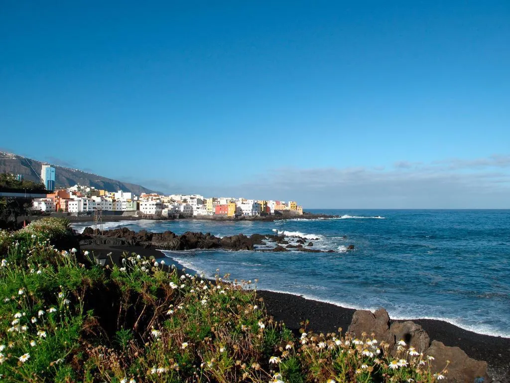 General view, Be Smart Florida, Tenerife