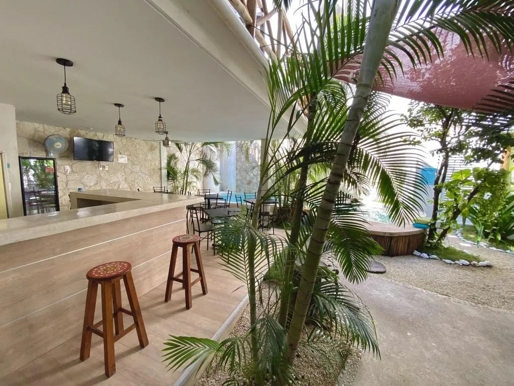 Bar, Pacha Tulum Boutique Hotel, Cancun Area