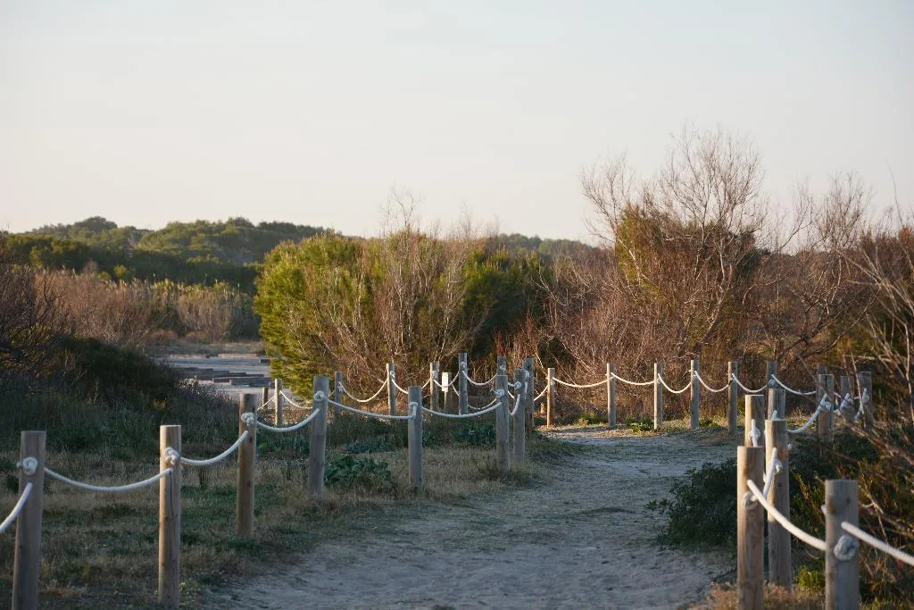 General view, You&Co.Saler Beach Boutique, Valencia