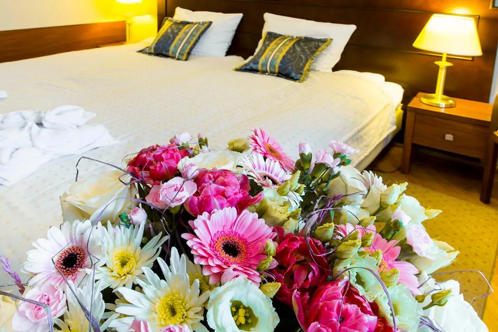 Double or Twin STANDARD Room, Hotel Swietego Norberta, Krakow