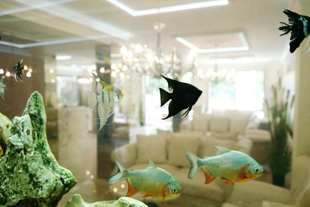 Lobby, Harmony Suites 8 & 9, Bourgas