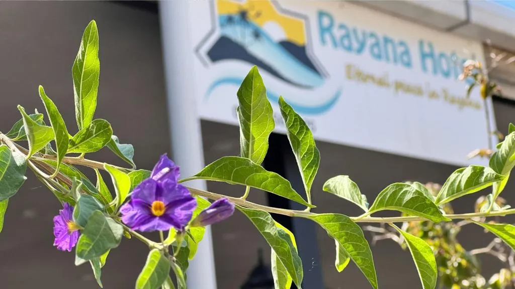 General view, Rayana Hotel, Dalaman
