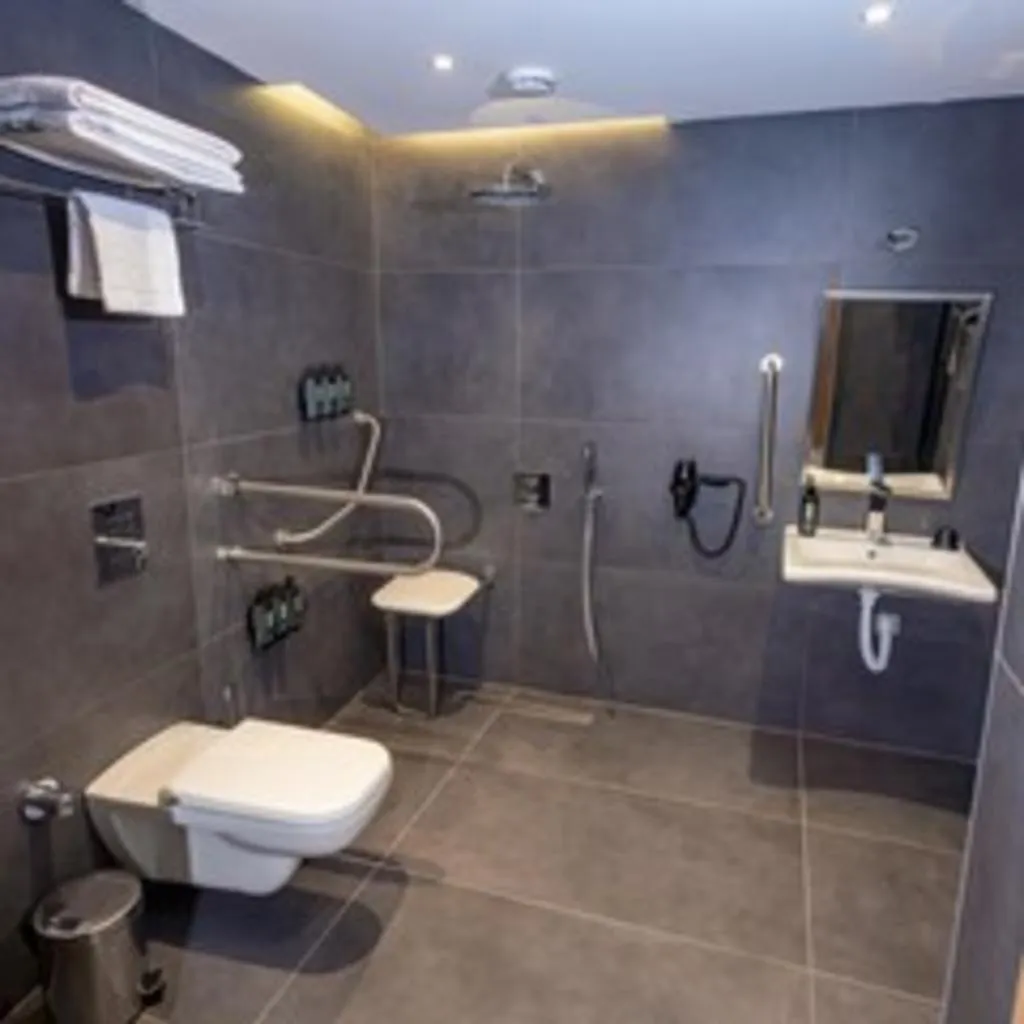 Room ONE BEDROOM ONE BATHROOM Room, FT Lotus Thermal Hotel & Spa Trademark Collection, Izmir