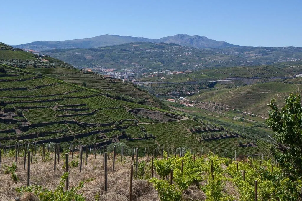 General view, Quinta De Casaldronho Wine Hotel, Porto
