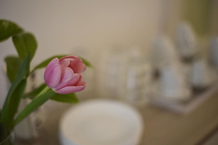 b&b Siracusa Holidays, Catania
