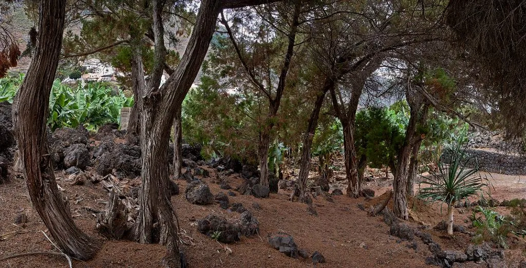 General view, Sabinas & Terrazas Malpaís, Tenerife