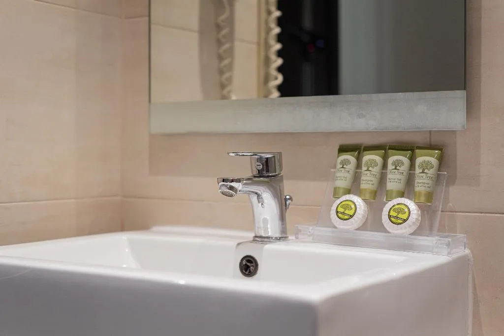 Double or Twin CAPACITY 3 Room, Acropolis Select, Athens