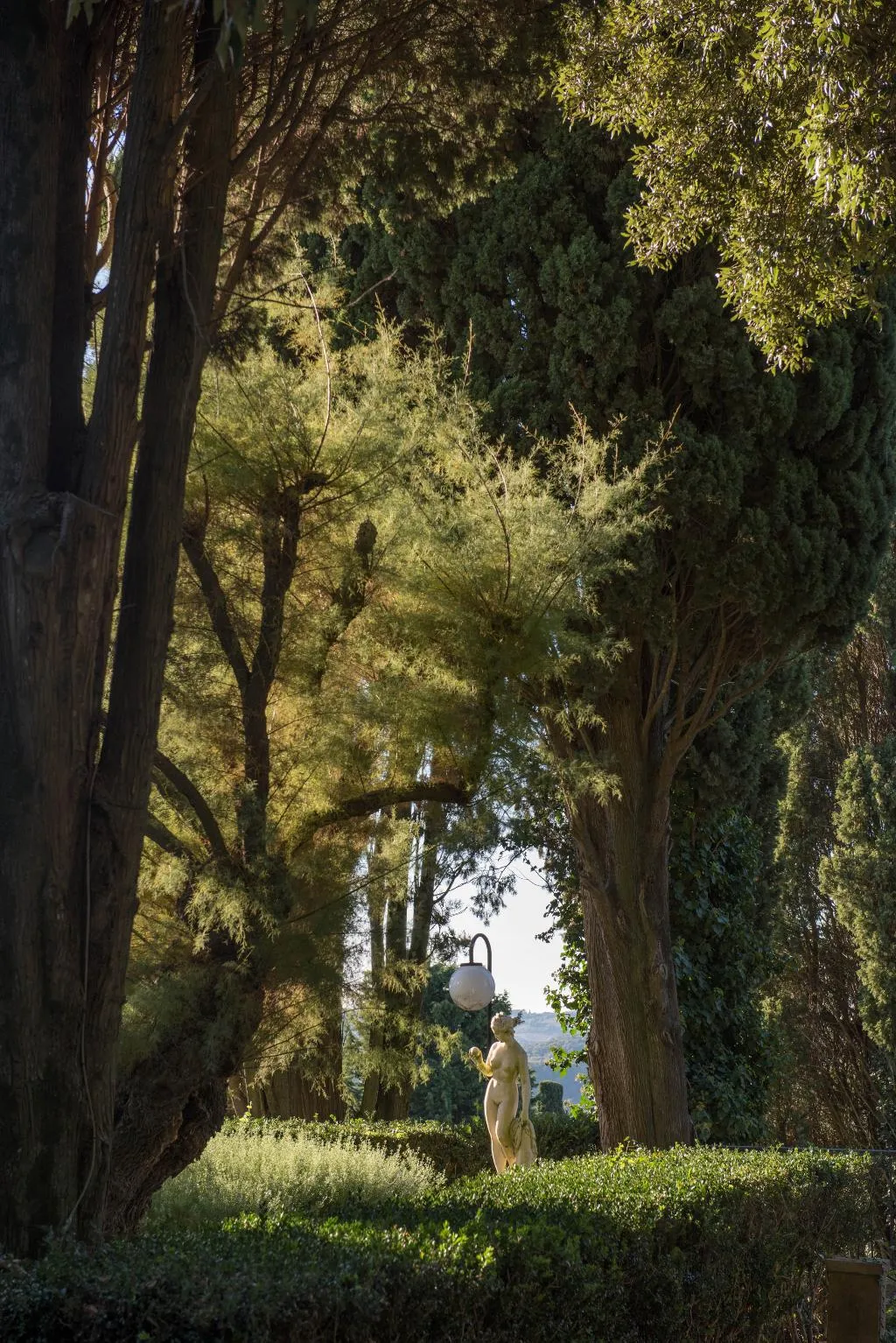 Terrace, Borgo Tenuta La Bandita, Florence
