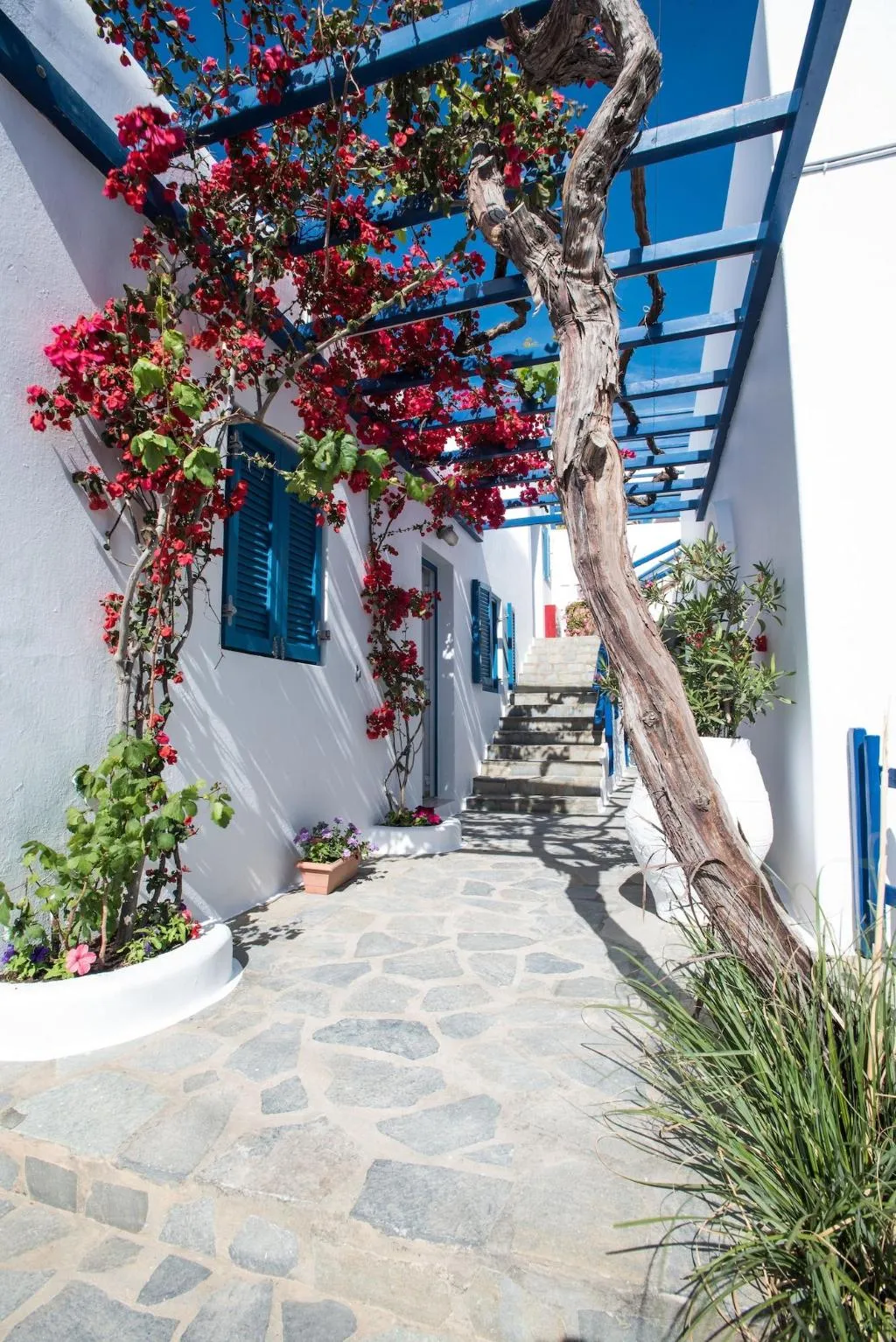 General view, Spanelis Hotel, Mykonos