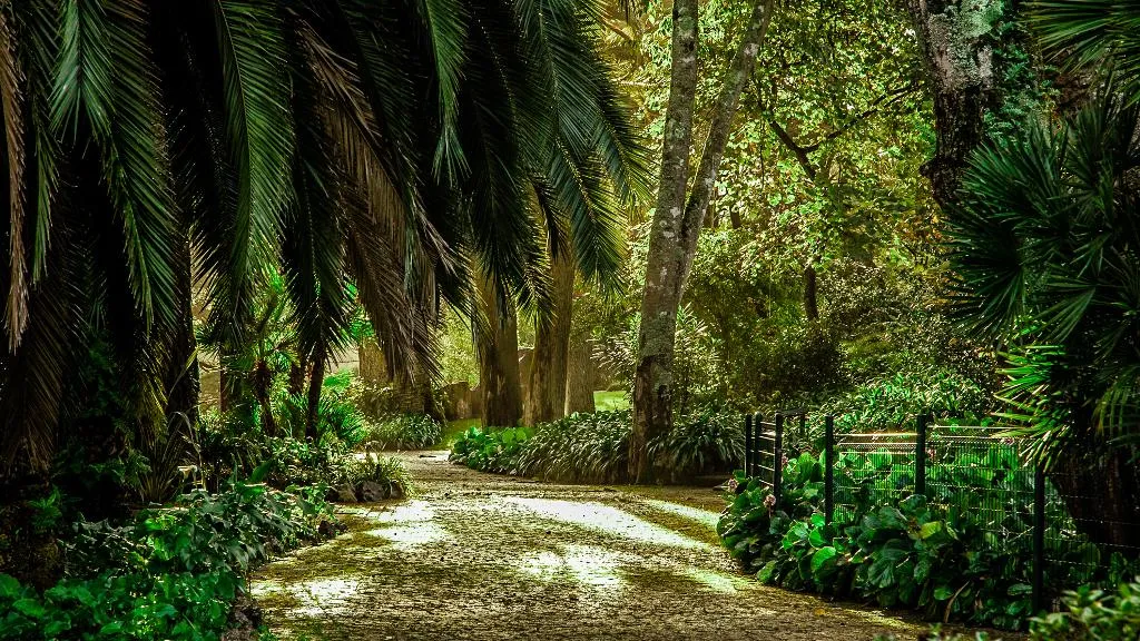 Sports and Entertainment, Sintra Marmoris Palace, Lisbon