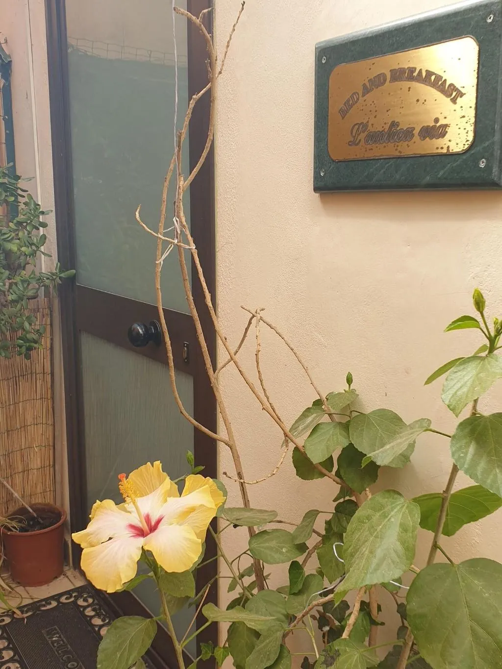 Room, L Antica Via, Catania