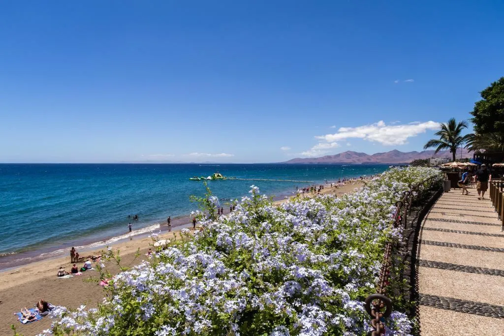 Beach, Labranda Los Cocoteros, Lanzarote