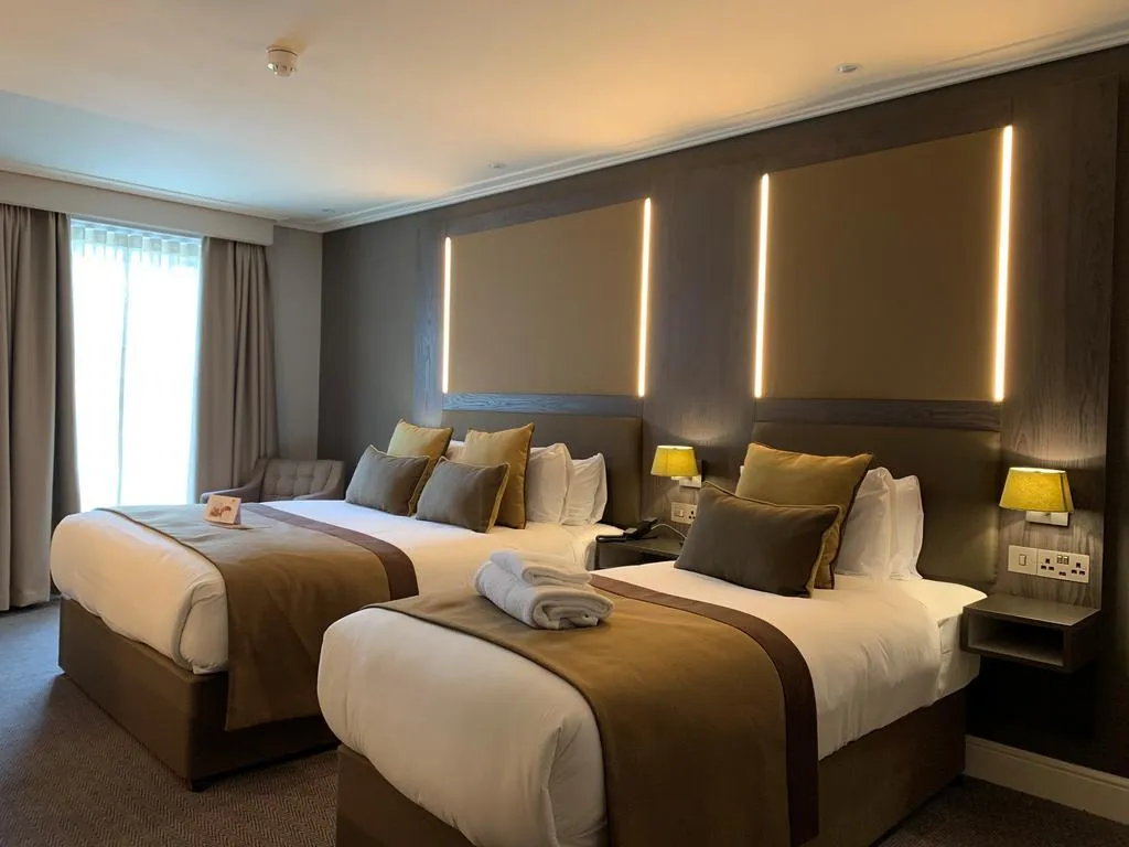 Room, The Belvedere, Dublin