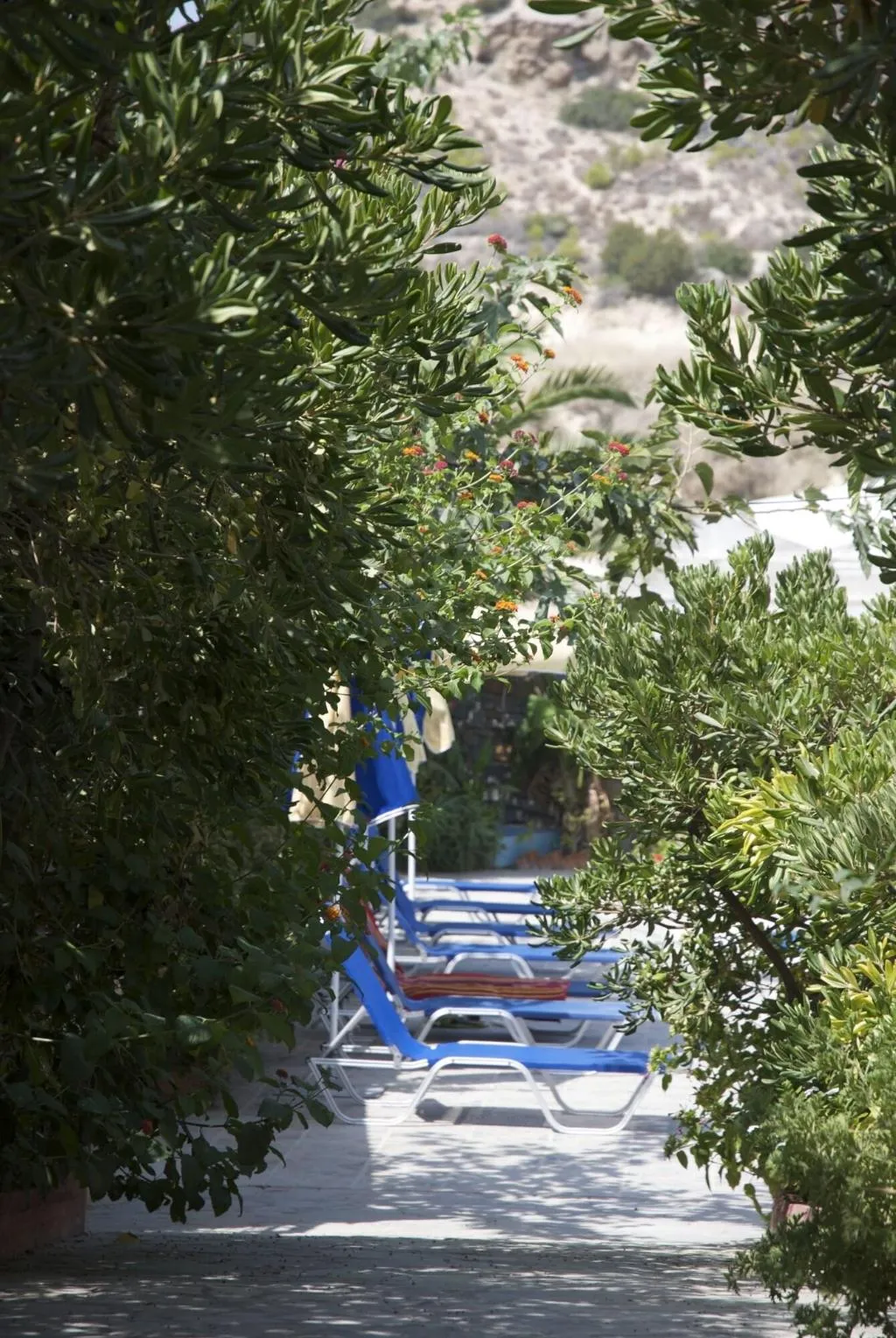 Terrace, Sarikampos Beach, Crete