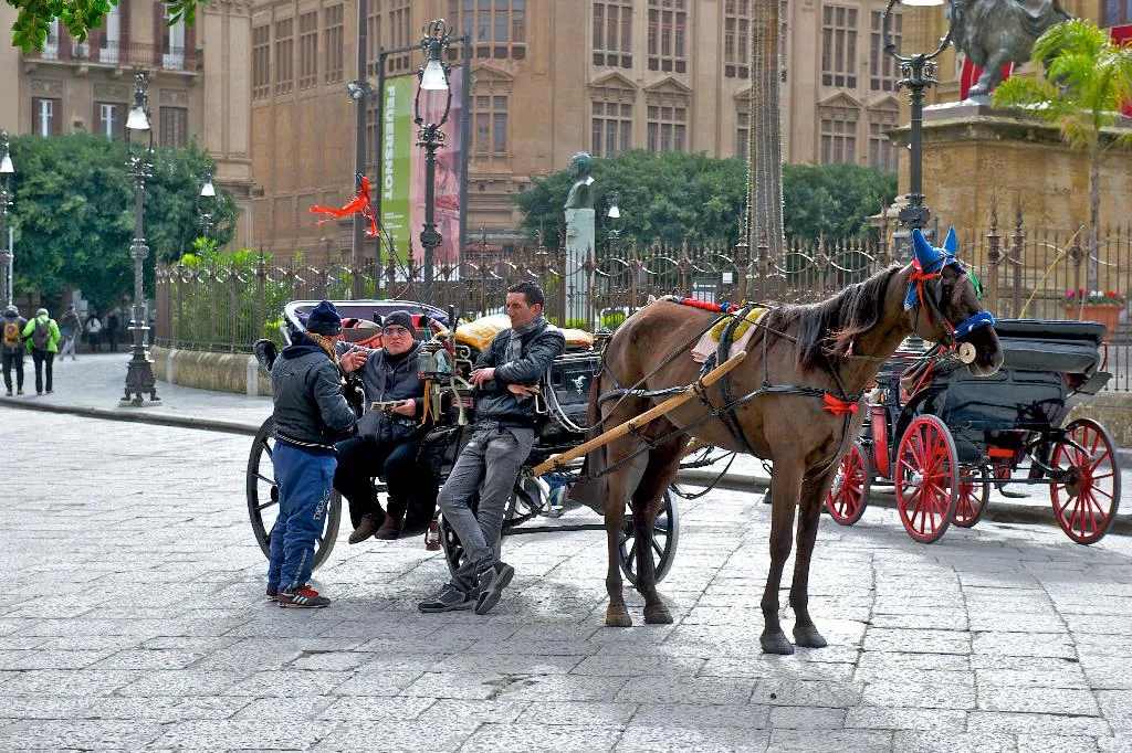 Sports and Entertainment, Mercure Palermo Centro, Palermo