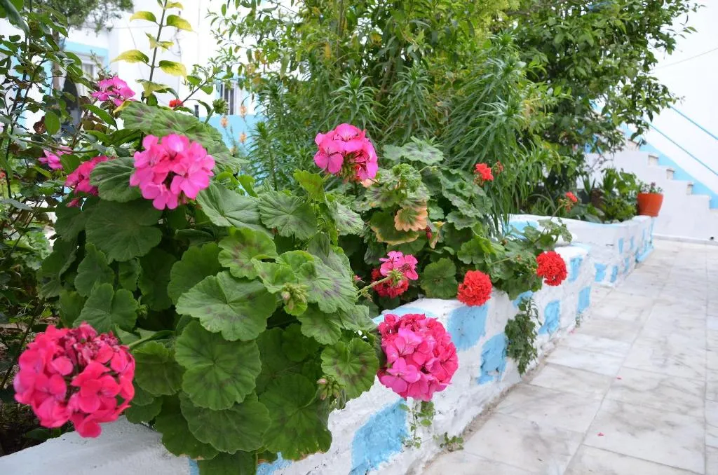 General view, Duru Butik Otel, Dalaman