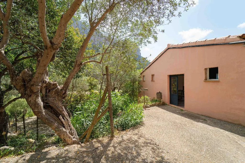 Sports and Entertainment, Hotel Rural S'Olivaret, Majorca