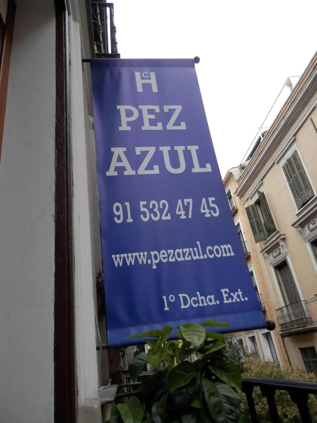 General view, Hostal Del Pez Azul, Madrid