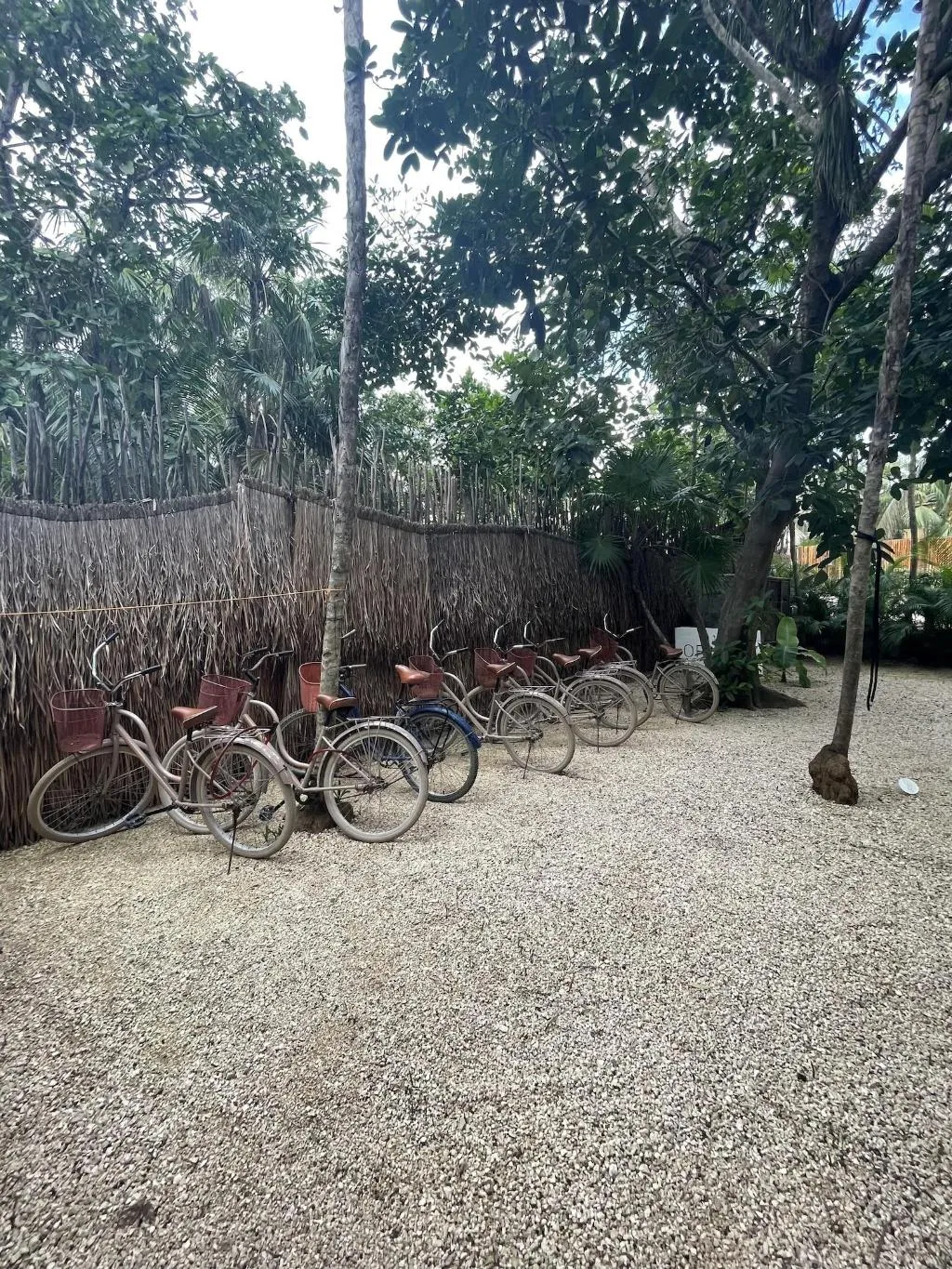 Sports and Entertainment, Origen Tulum, Cancun Area