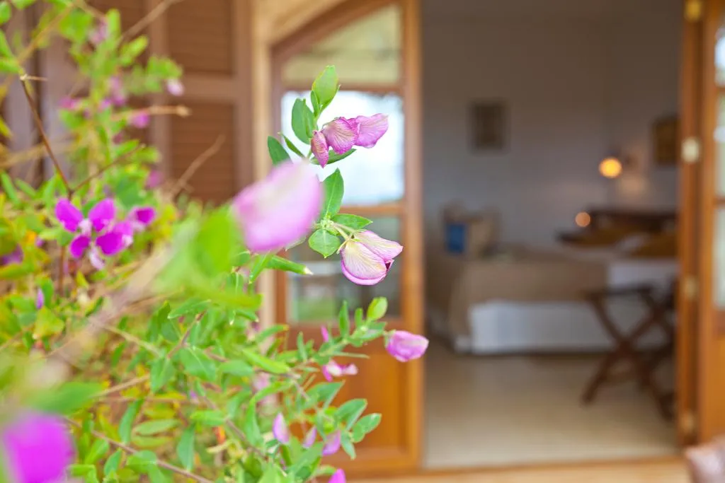 Double or Twin STANDARD Room, Na Martina, Majorca