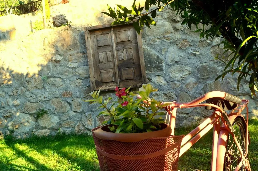 General view, Faralya Misafir Evi, Dalaman