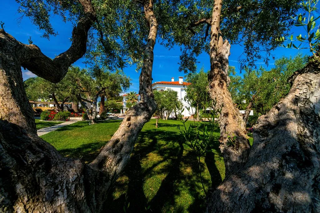 General view, Flegra Palace, Halkidiki