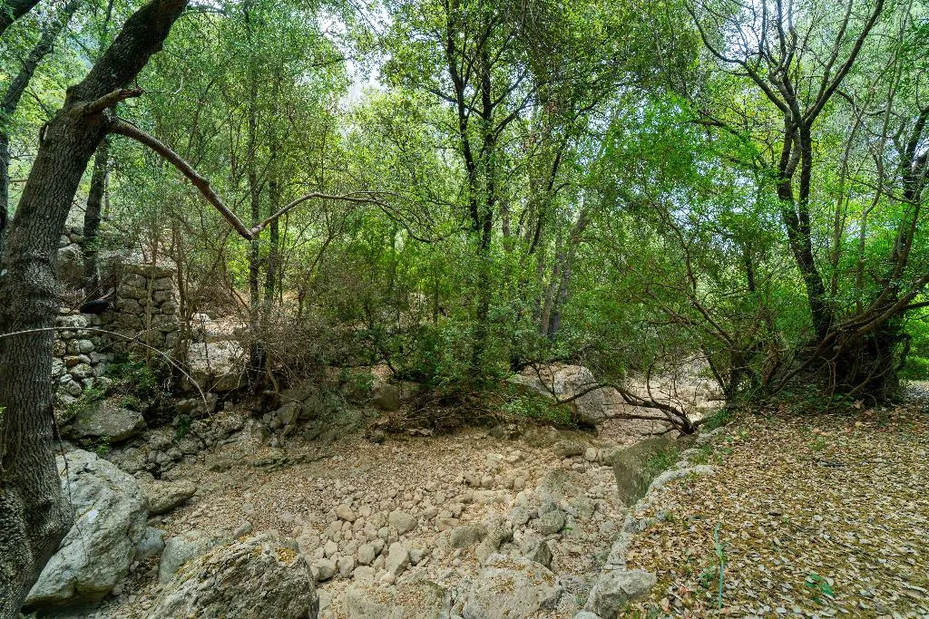 Sports and Entertainment, Hotel Rural S'Olivaret, Majorca